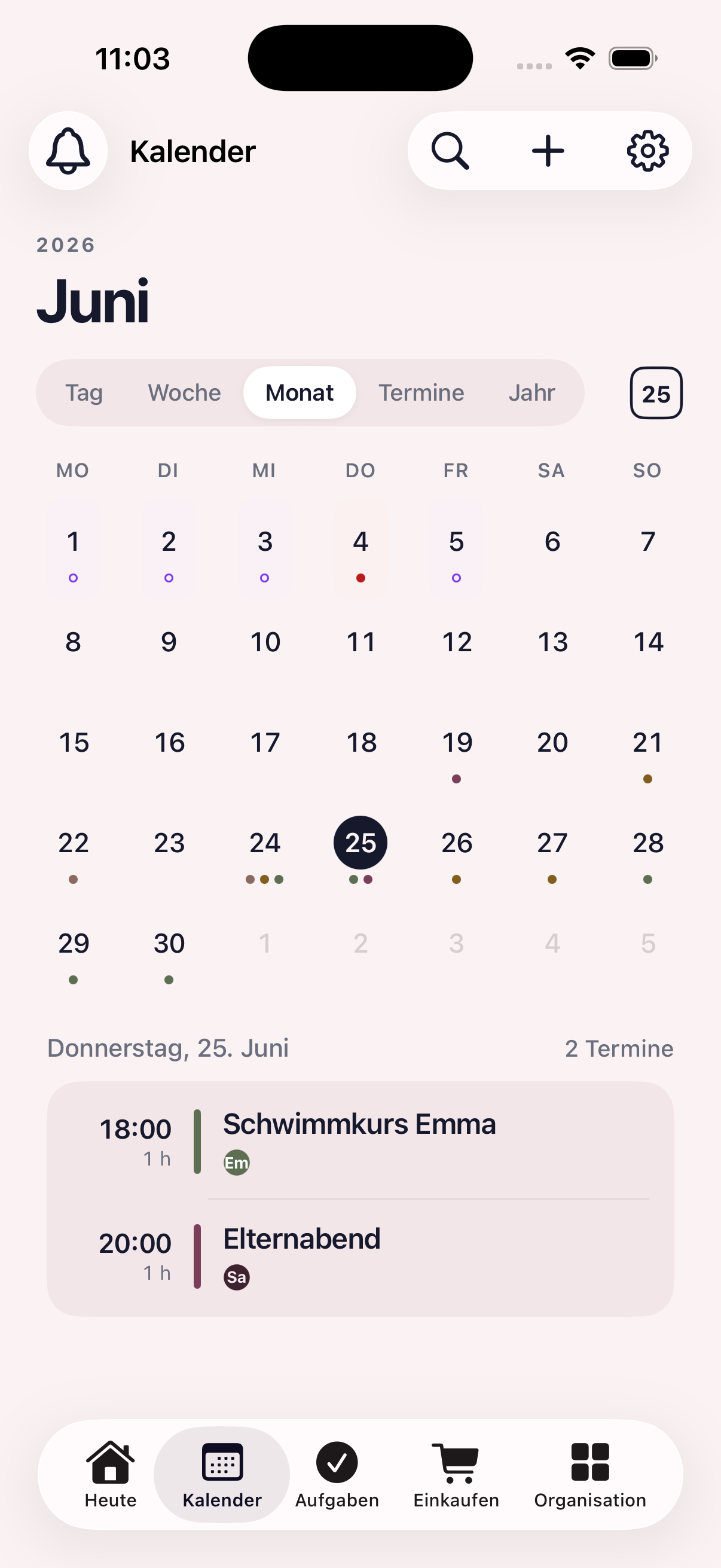 Familienkalender in der Monatsansicht mit Terminen, Ferien und Feiertagen